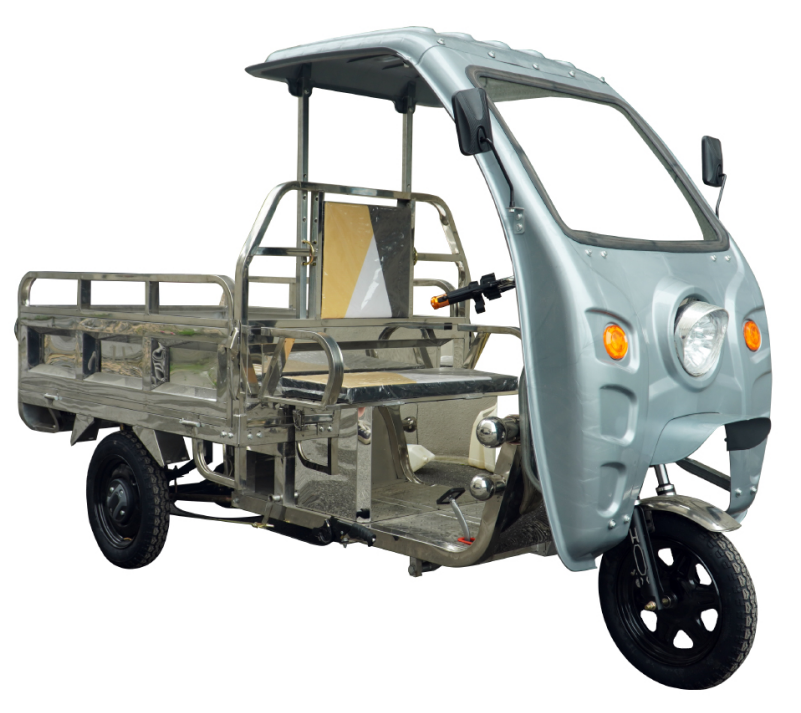 Stainless Steel Frame Electric Tricycle 3 Wheel E Cargo Truck For Maldives Accessories Available