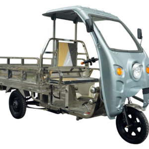 Stainless Steel Frame Electric Tricycle 3 Wheel E Cargo Truck For Maldives Accessories Available