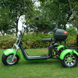 Chinese new design golf CE three wheels electric tricycle scooter electric three wheels electric scooter with seat