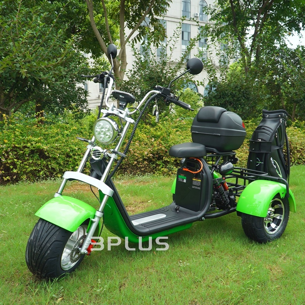 New Model citycoco electric scooter  golf mobility scooter 3000w  electric golf scooter