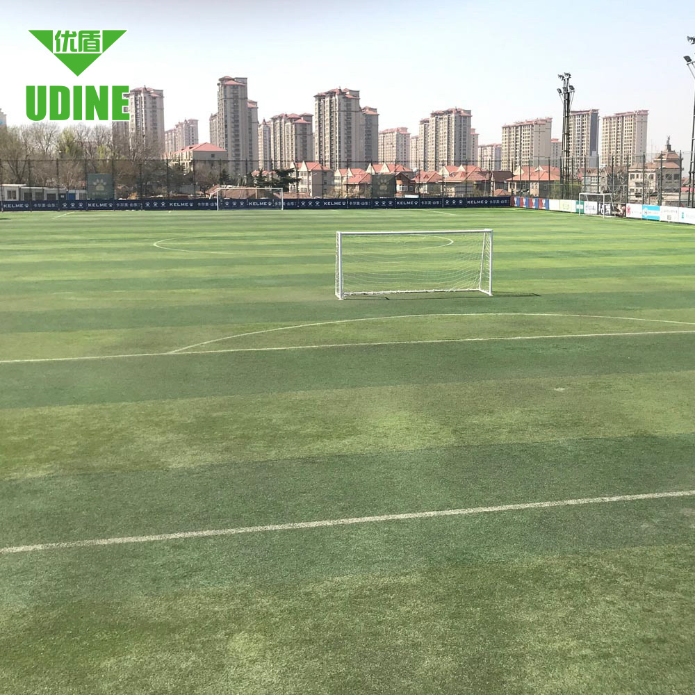 Wholesale Plastic Soccer Synthetic Grass Lawn Playground Fake Grass Turf Rugby Artificial Grass Football Turf For Playground