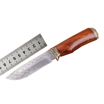 OEM handmade Damascus fixed blade knife outdoor knife with brass and rosewood handle