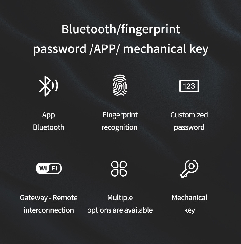 Smart Door Lock  Fingerprint  Keyless Entry Door Lock Electronic  WiFi  Lock with APP Control