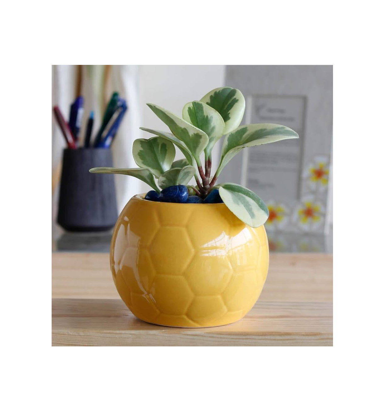 New Design Ceramic flower pots Waterproof Standing Garden Vase With bottle design Decoration Flower Pot With Discount price