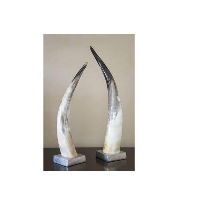 Best Quality Decorative Mounted Natural Buffalo Horn Show Piece Natural Bull Horn for Home Decoration for sale