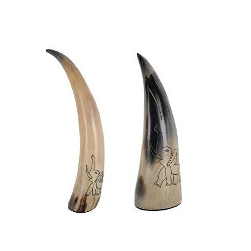 Best Quality Decorative Mounted Natural Buffalo Horn Show Piece Natural Bull Horn for Home Decoration for sale