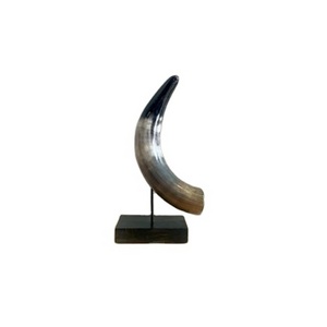 Best quality decorative horn for Polished Bull Horn Decorative Show Piece Natural Bull Horn for sale with metal stand