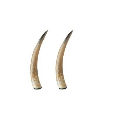 Best Quality Decorative Mounted Natural Buffalo Horn Show Piece Natural Bull Horn for Home Decoration for sale