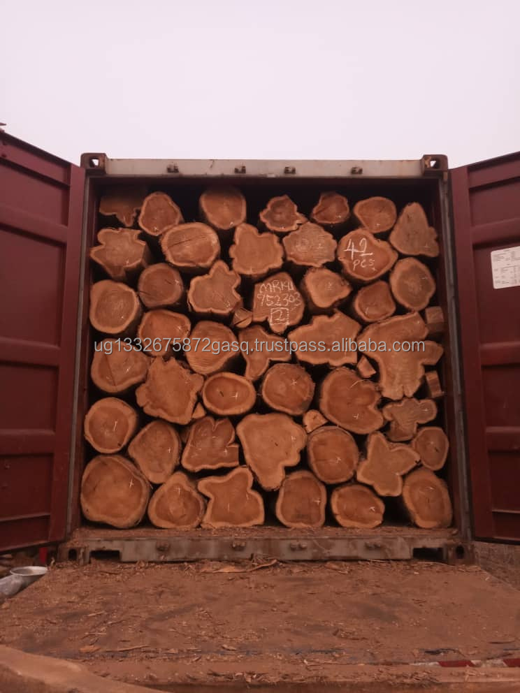 All types of timber wood, logs such as Padouk ,Azobe ,Tali,Pachyloba,Mahogany,Sapelli,Dossier,Okan,Limbali