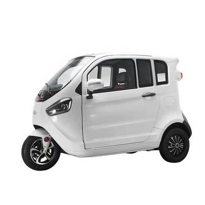 EEC Euro5 Fully Enclosed Moped Long Range Passenger Three Wheel Scooter Electric Tricycles for cargo with cabin