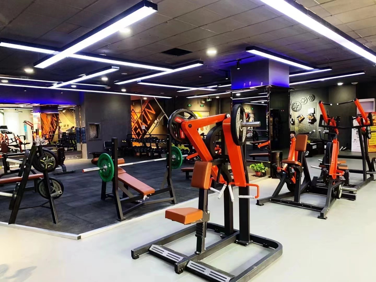 Dezhou Factory Plate Loaded Commercial Fitness Gym Equipment Machine Seated Low Row