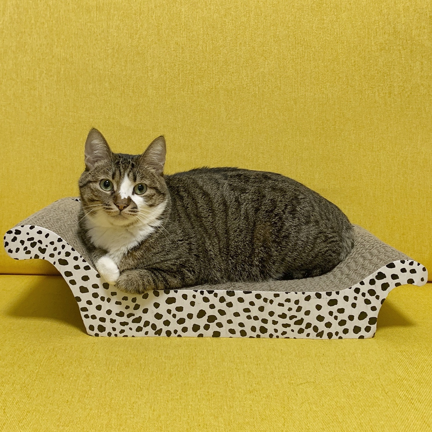 New Design Sofa Shape Cardboard Cat Scratchers Big Cat Scratching Board Pad Toy