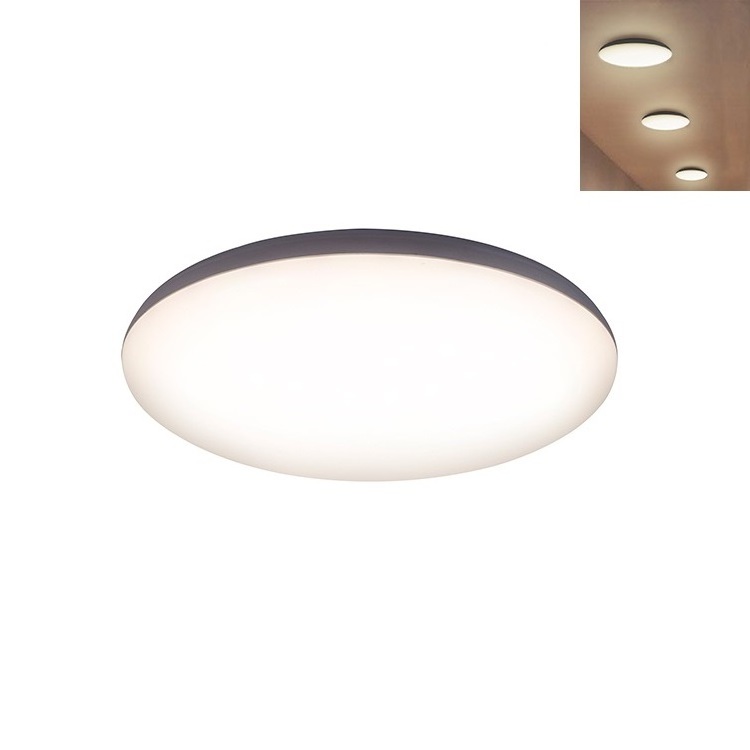 All PC waterproof 24w SMD round led ceiling lights outdoor ceiling light