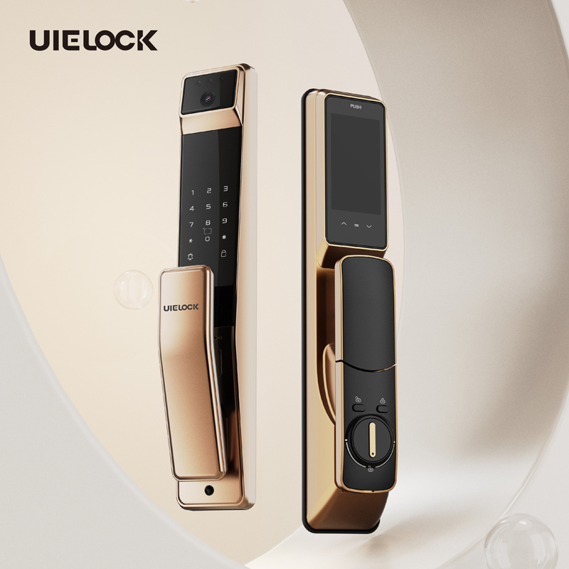 Smartlock Oem Electronic Biometric Fingerprint Gate Smart Digital Exterior Security Front Door Lock With Camera