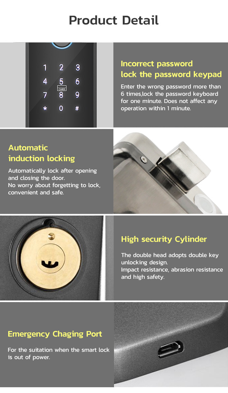 Waterproof Outdoor Gate Door Intelligent Electronic Fingerprint Door Lock Smart Electric Rim Lock with Wifi Tuya TTlock App