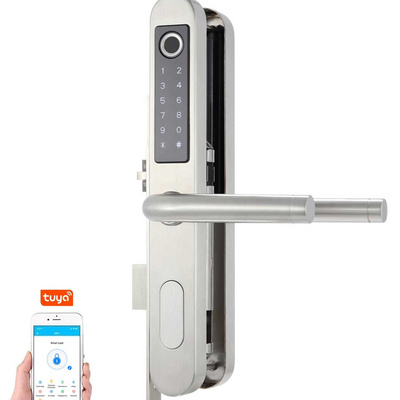 Smart door lock aluminium doors TT APP fingerprint ultra slim smart lock sliding electric door lock