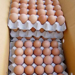 Fresh Brown And White Shell Chicken Eggs