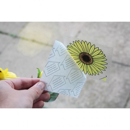 Window Sticker Fly Traps Indoor Pest Control Sunflower Design Self Adhesive Window Fruit Fly & Insect Sticky Strips Traps