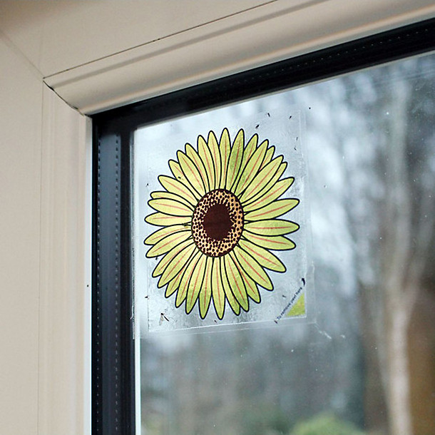 Window Sticker Fly Traps Indoor Pest Control Sunflower Design Self Adhesive Window Fruit Fly & Insect Sticky Strips Traps