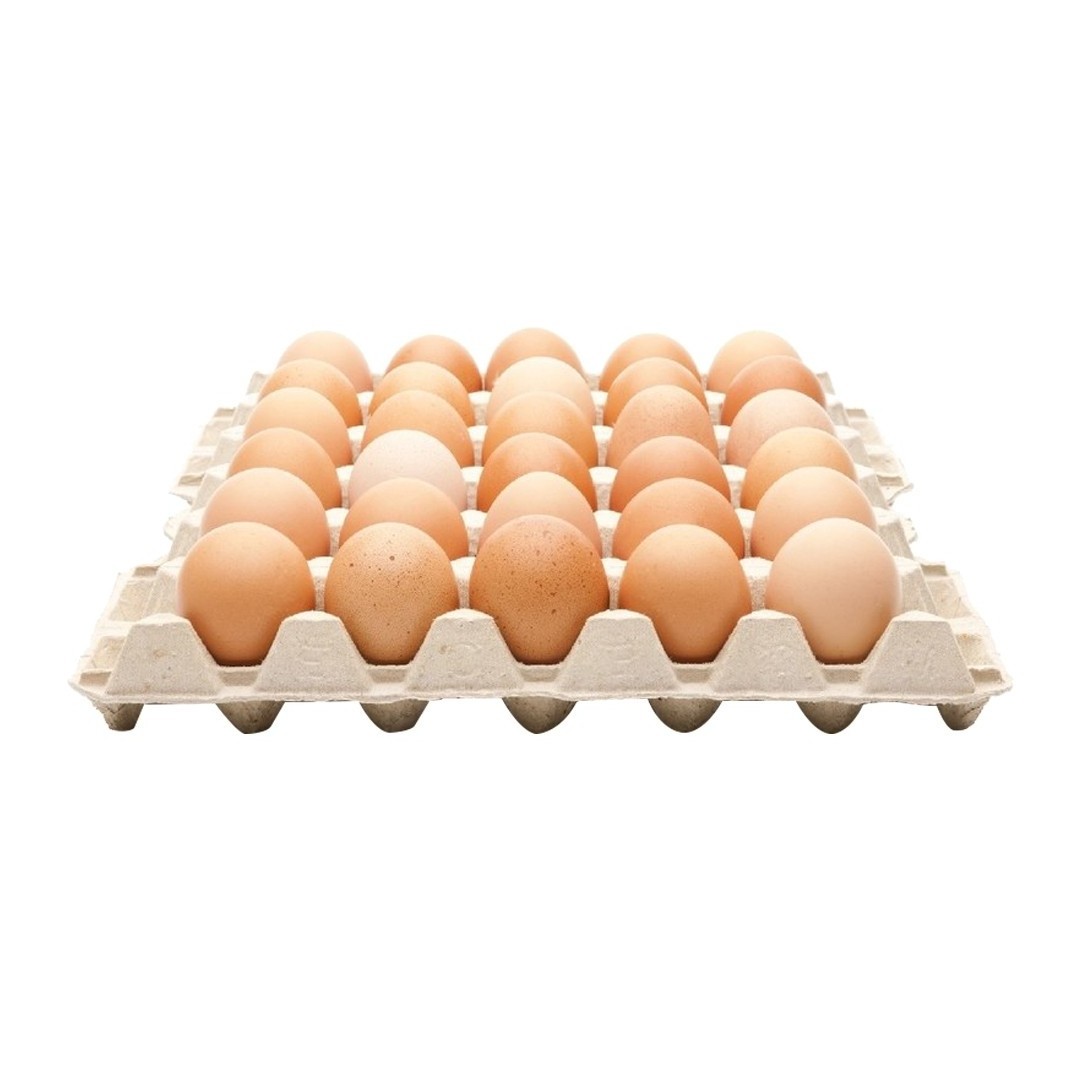 Organic Fresh Chicken Table Eggs for Sale