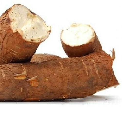 Dried Cassava /Raw Dry Cassava with Exportation quality and Competitive price from Vietnam