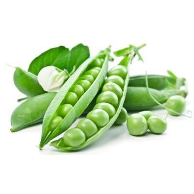 Bulk supply Fresh Green peas /Frozen Green peas for sale at cheap prices