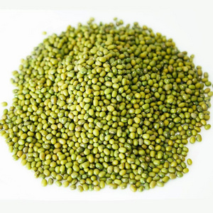 Dried Agriculture Bean Product Green Mung Beans In Bulk / Green Mung Bean From UK