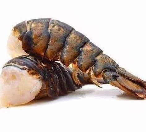 Seafood Fresh and Frozen Lobster, Lobster Tails For Sale..