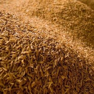 European best grade Rice Bran & Wheat Bran For sale