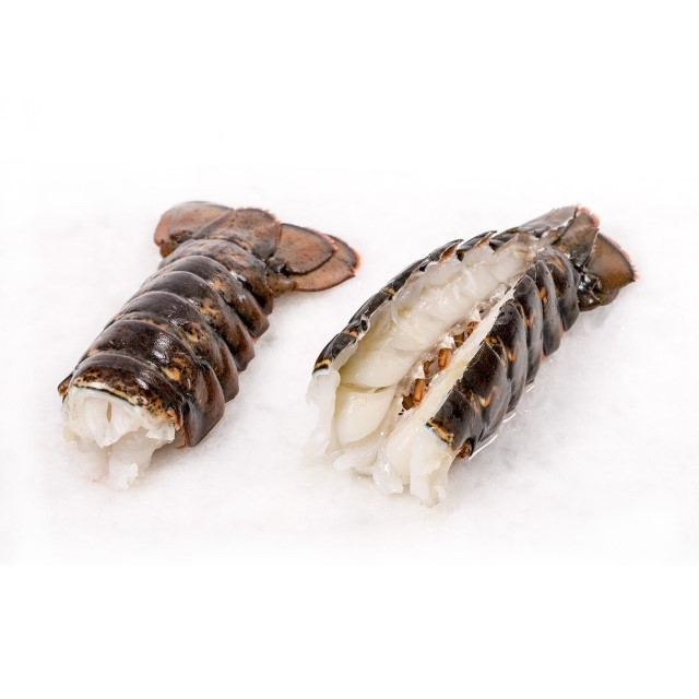 Live Lobster, Spiny Lobster, Frozen Lobster