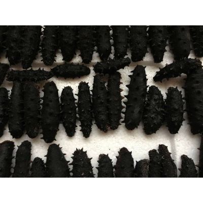 DRIED SEA CUCUMBER