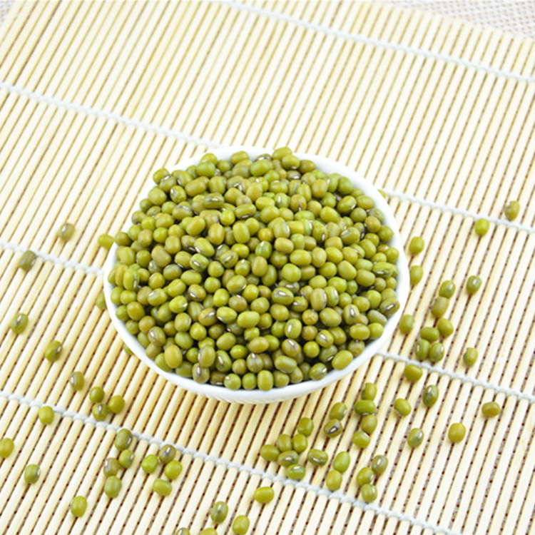 Dried Agriculture Bean Product Green Mung Beans In Bulk / Green Mung Bean From UK