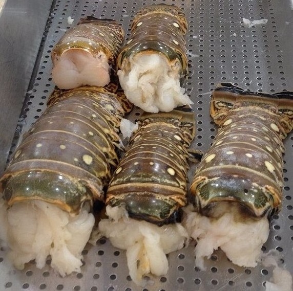 Lobster FROZEN FROZEN LOBSTER TAIL / FRESH LIVE Cold water Fresh ALIVE Lobster crayfish