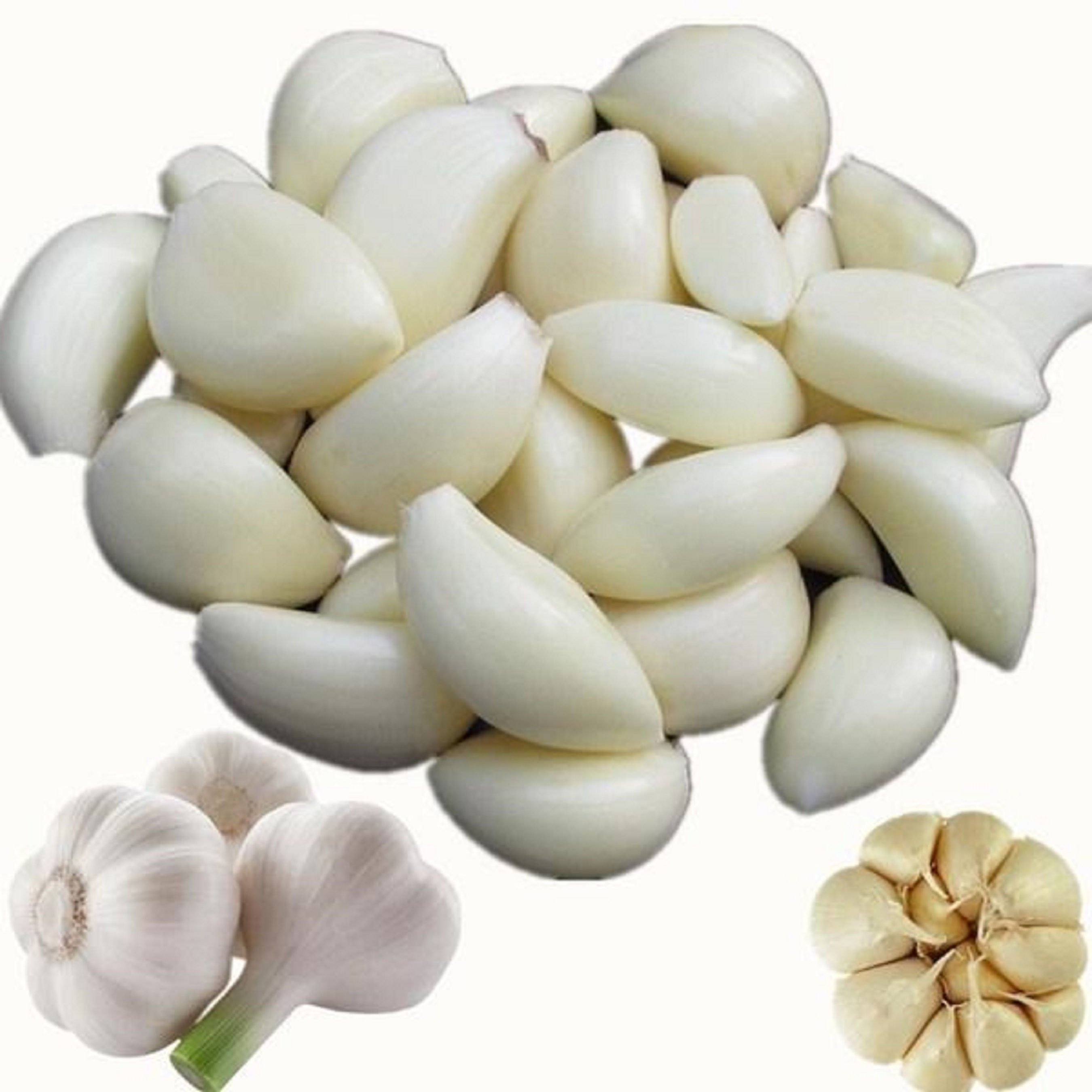 2022 new crop vacuum frozen packed peeled garlic fresh for wholesale price per ton with cartons