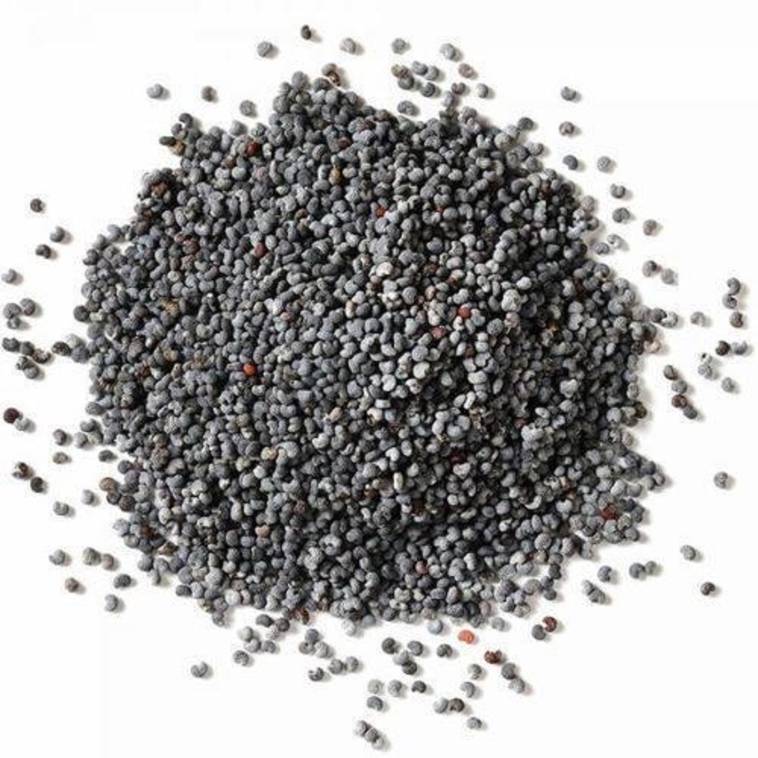 Top Quality Poppy Seeds at Factory wholesale prices