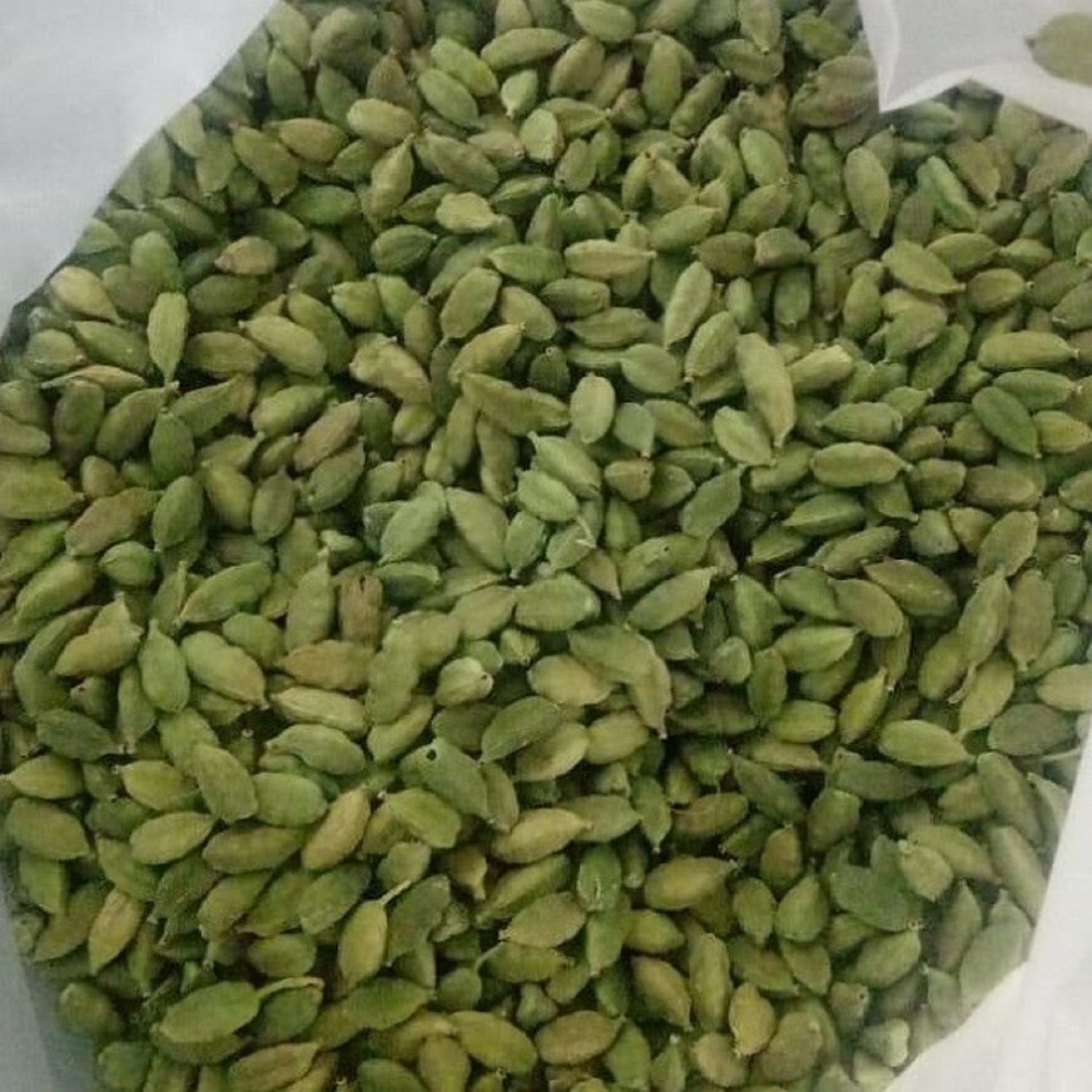 Wholesales Hot selling new crop spices green cardamom seeds top quality small cardamom