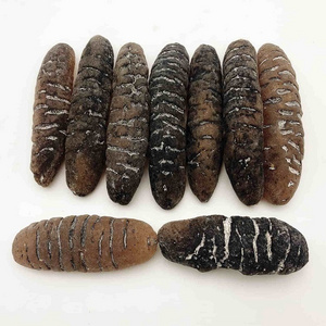 Cheap Price Dried Sea Cucumber