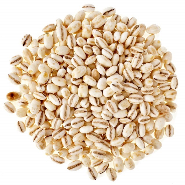 Animal feed barley/bulk barley Malted Barley / Barley Grains