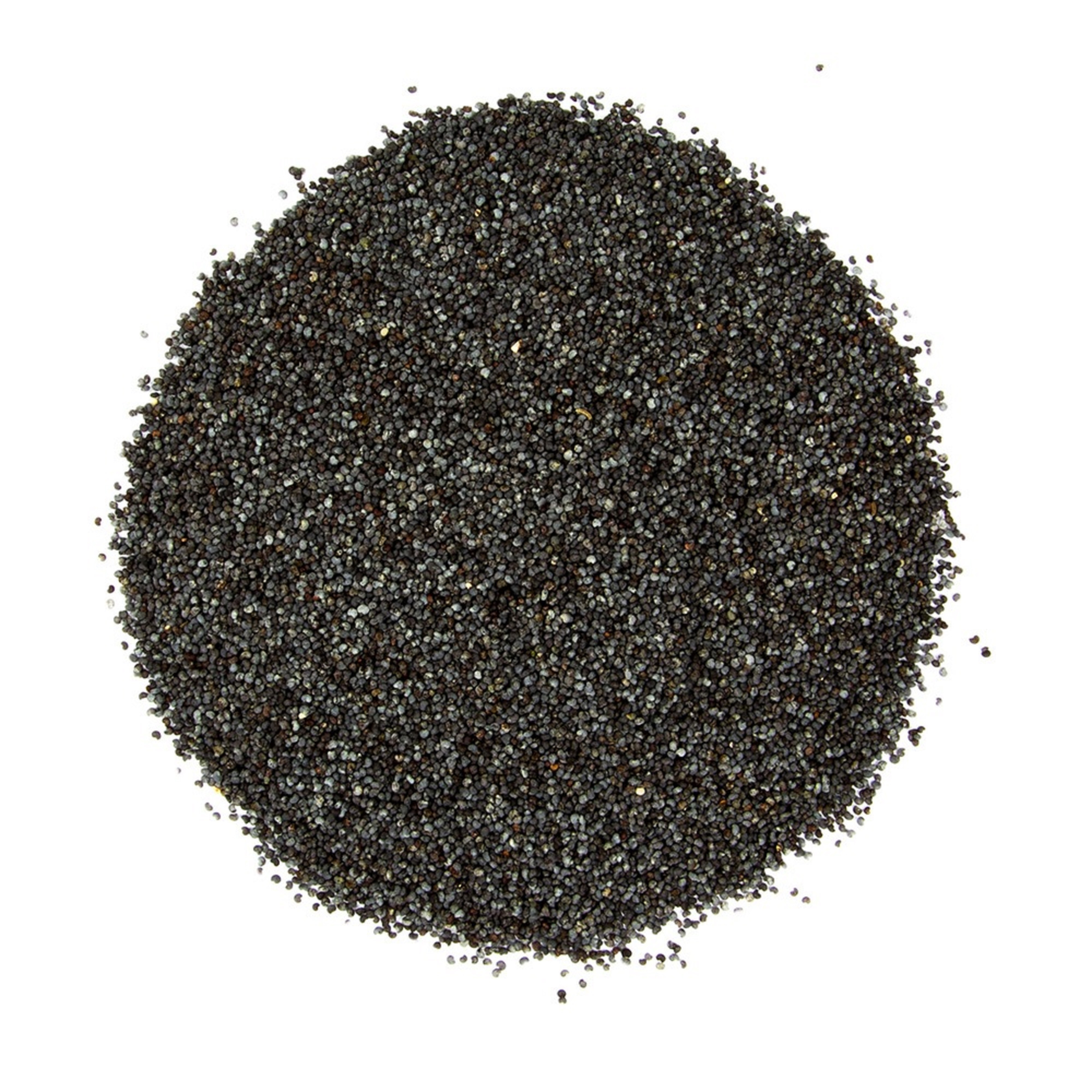 Top Quality Poppy Seeds at Factory wholesale prices