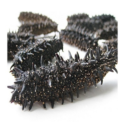 Best Quality Hot Sale Price Dried Sea Cucumber (Seafood) From Norway