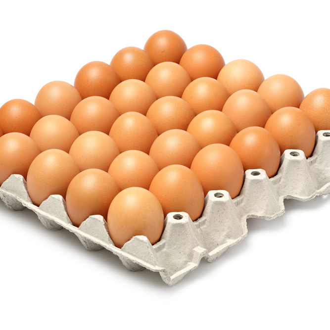 White Fresh Chicken Eggs for sales