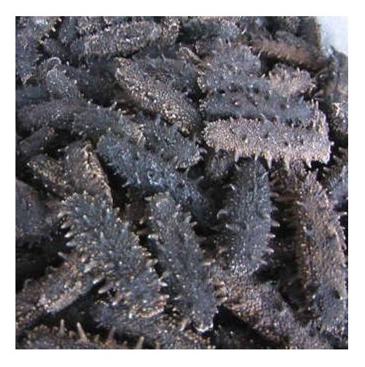 Best Quality Hot Sale Price Dried Sea Cucumber (Seafood) From Norway