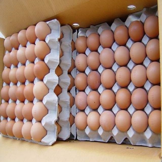 White Fresh Chicken Eggs for sales