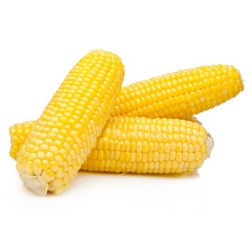 Dry Maize/Dried Yellow Corn/Dried Sweet Corn