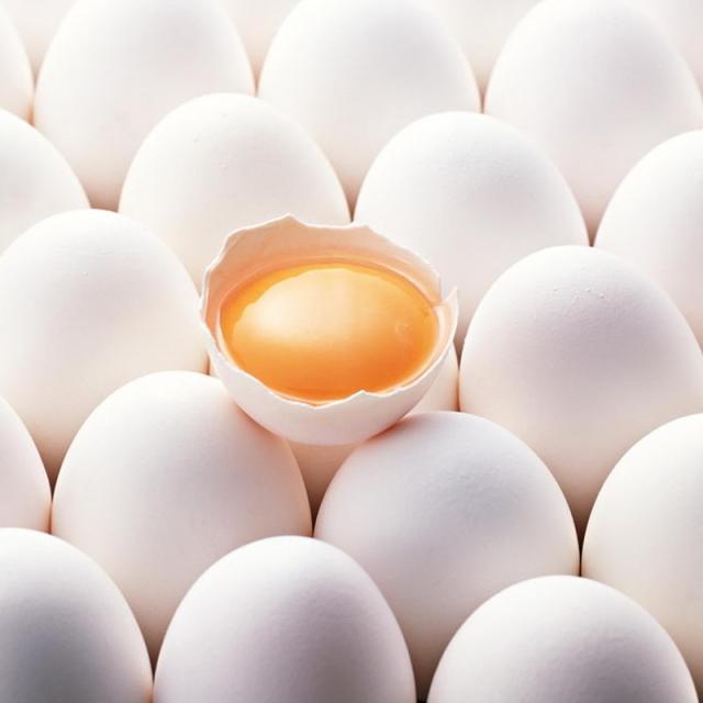 White Fresh Chicken Eggs for sales