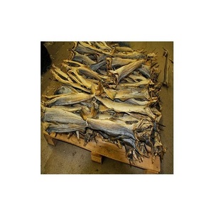 100% dried high quality salted atlantic pacific cod fish fillet bulk packing for sale