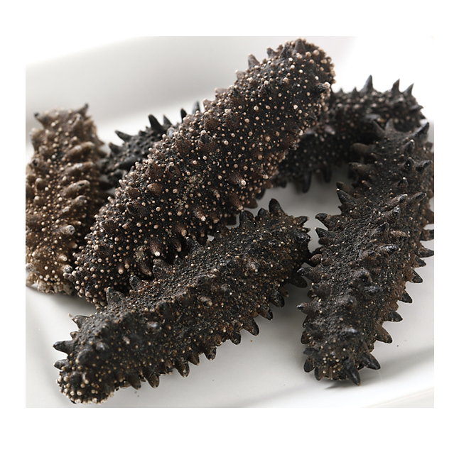 Best Quality Hot Sale Price Dried Sea Cucumber (Seafood) From Norway