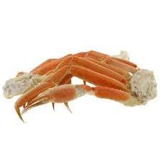 LIVE MUD CRAB Top Quality Mud Crab Live Competitive Price at wholesale price