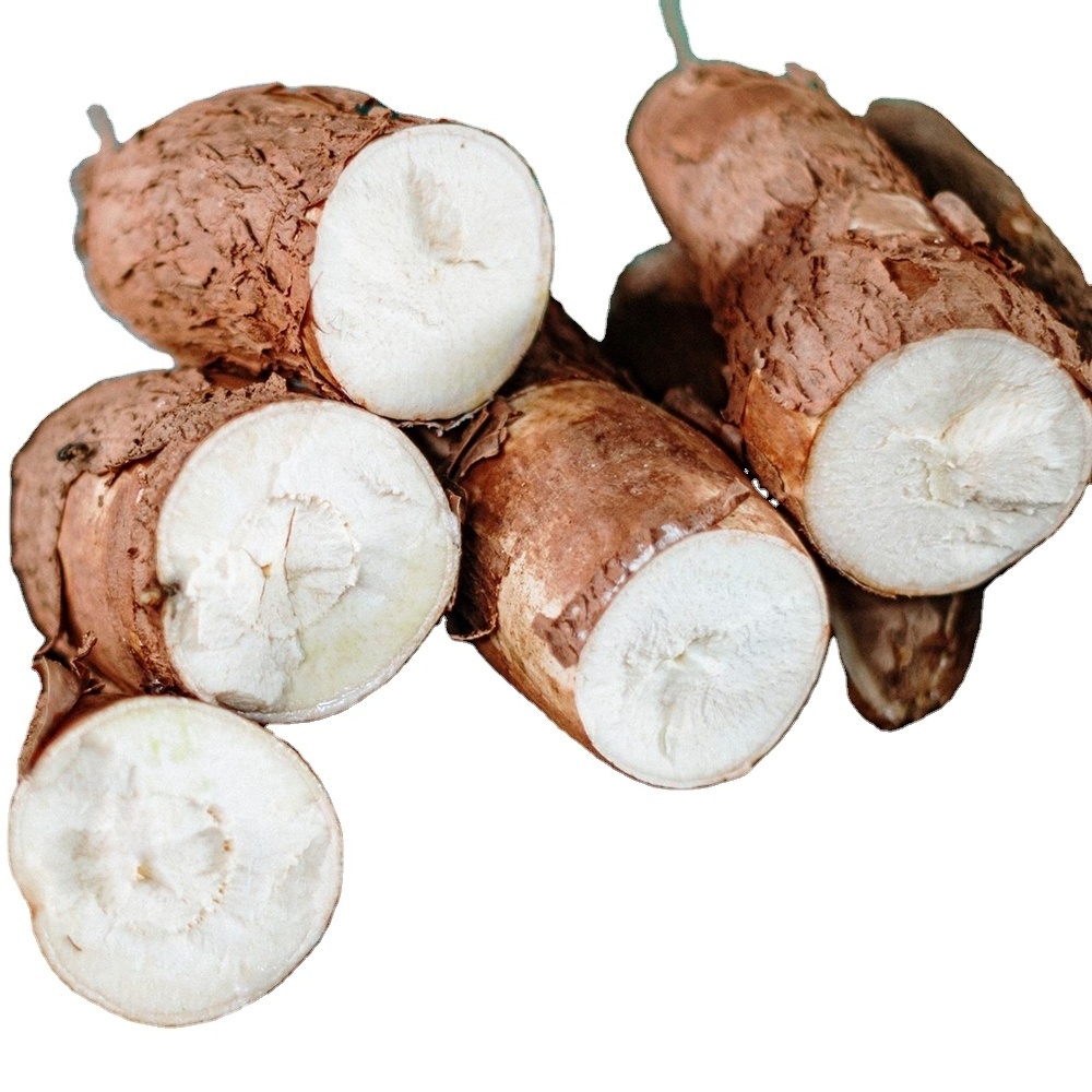 Fresh cassava/Fresh Cassava root - cassava - best price