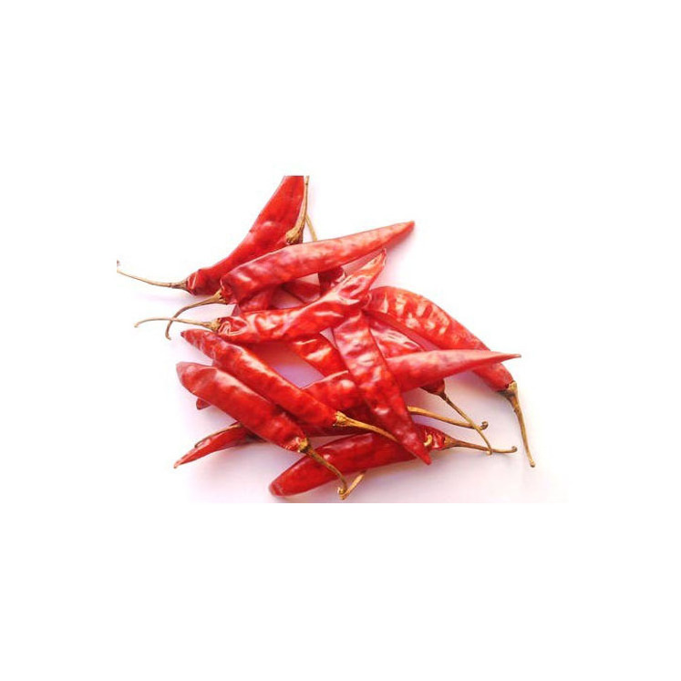 Wholesale High Quality Cheap Price FRESH RED CHILLI / DRIED CHILLI